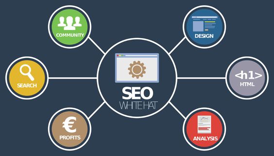 Best SEO company in HSR Layout